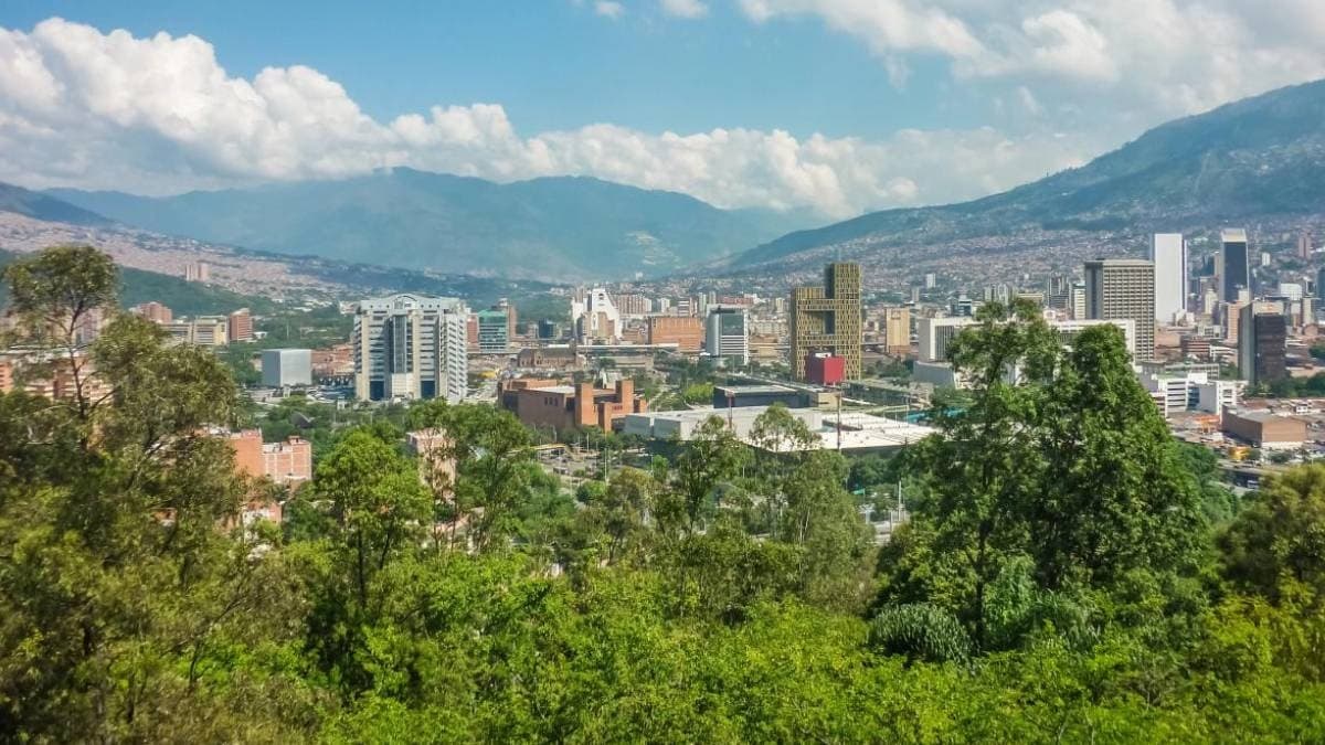 Şehrin kalkanı 880 bin ağaç oldu: Felaketin önüne geçildi