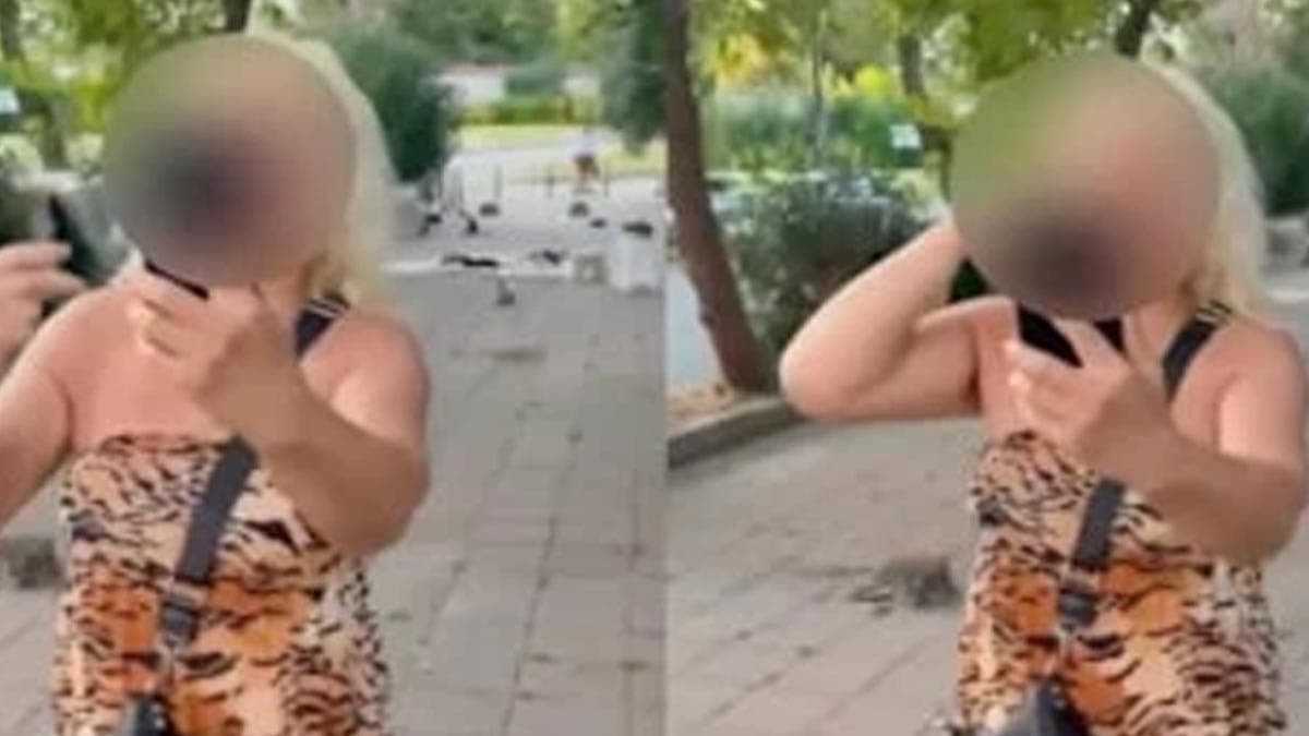 Sokak kedilerini beslemek için yola çıkan kadın psikiyatri kliniğine kaldırıldı