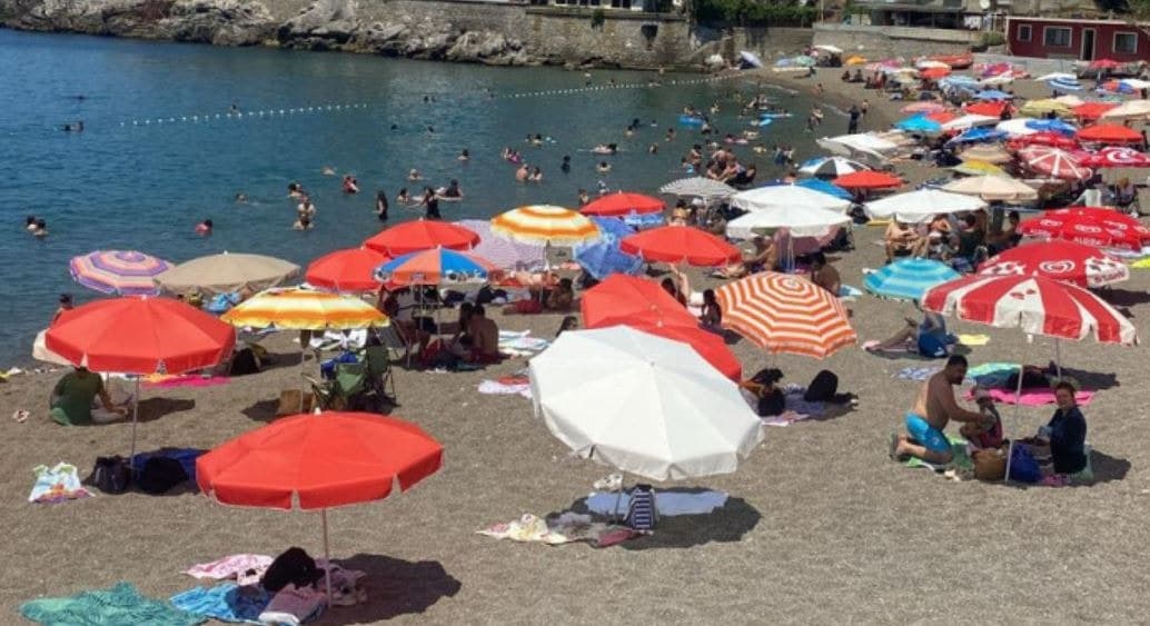 Japonya'da 'et yiyen bakteri' paniği: 5 kişi hayatını kaybetti