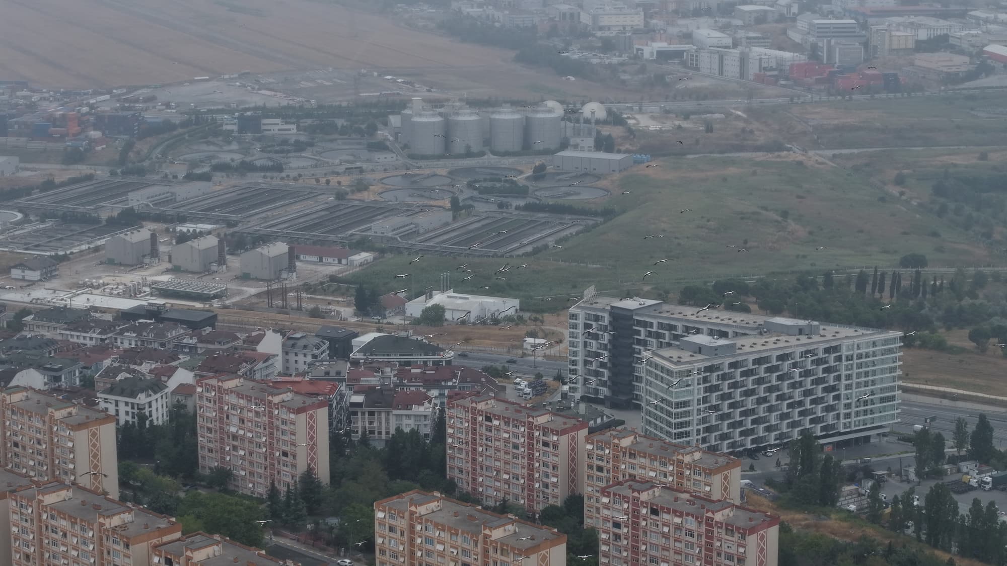 İstanbul'da yaz ortasında kış havası: Leylekler göçe başladı