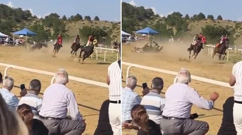 Başıboş at yarış alanına daldı: 1 jokey yaralandı, 2 at hayatını kaybetti