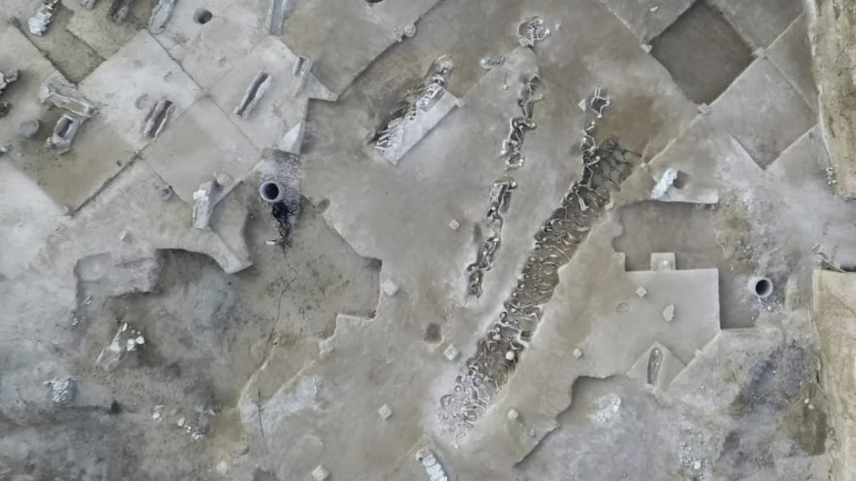 Zincirlerle gömülen 79 kişinin yüzyıllık sırrı aralandı