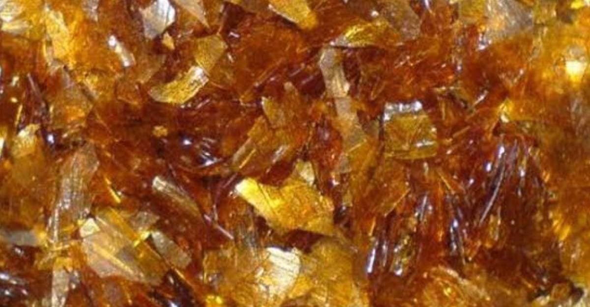 Bir böceğin dışkısından elde ediliyor: Kilosu milyonları buluyor