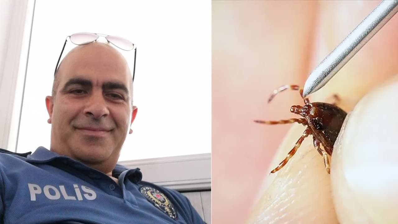 Tokat'ta kene ısırığına yenik düşen emekli polis memuru hayatını kaybetti