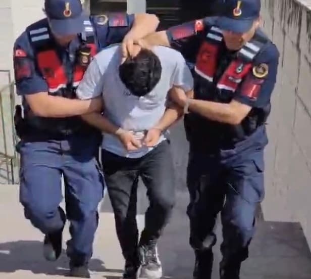 Edremit'teki orman yangınında 1 kişi tutuklandı: Kuru otları ateşe verdiği ortaya çıktı