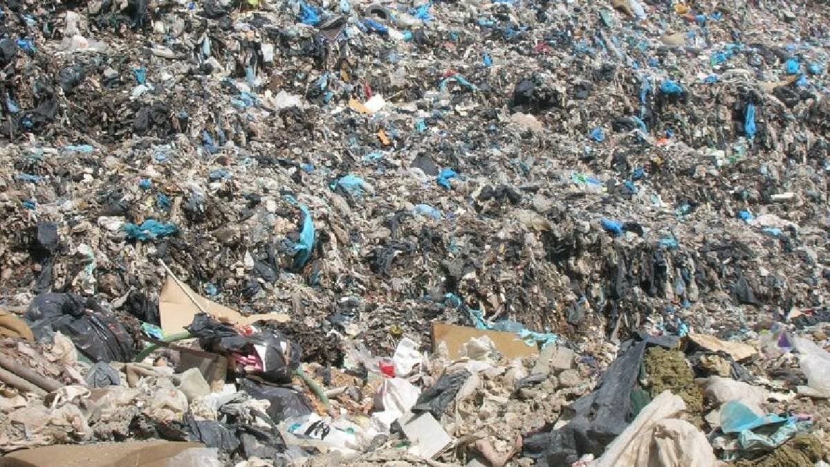 Çöpten topladıkları poşetlerle dev bir başarıya imza attılar: Atıktan servete dönüşen hikaye