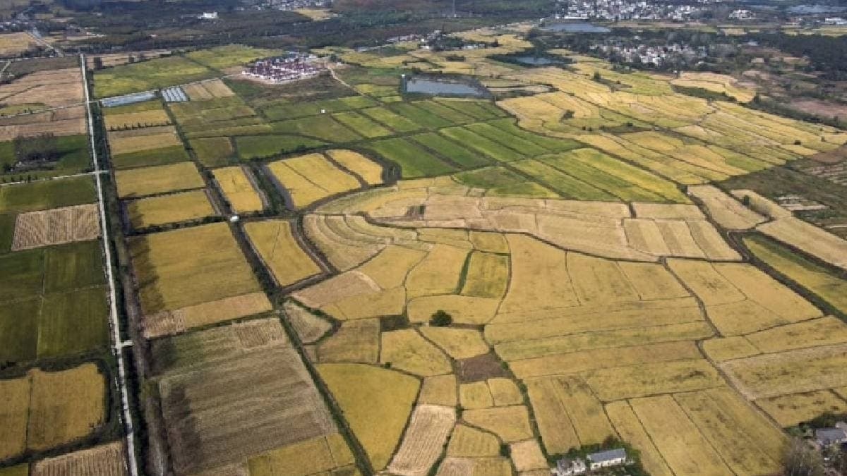Komşu ülke gençlere ücretsiz arsa dağıtıyor: 40 yaş altı herkes faydalanabilecek