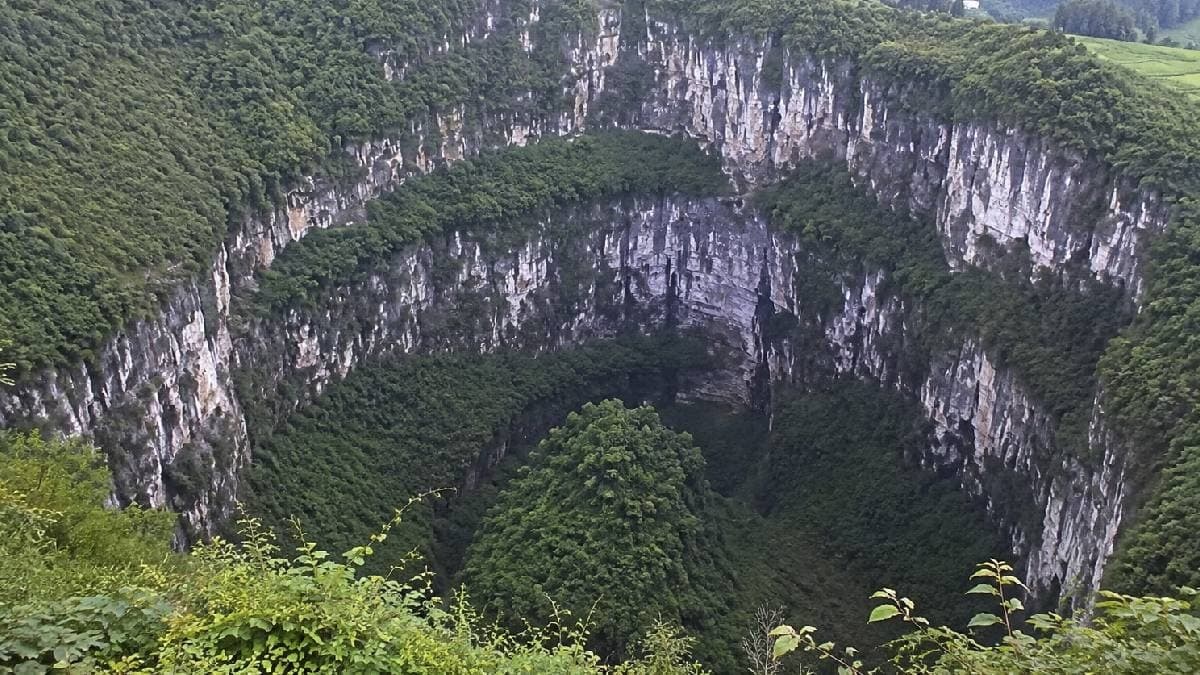 662 metrelik çukurun dibinden gizli orman çıktı