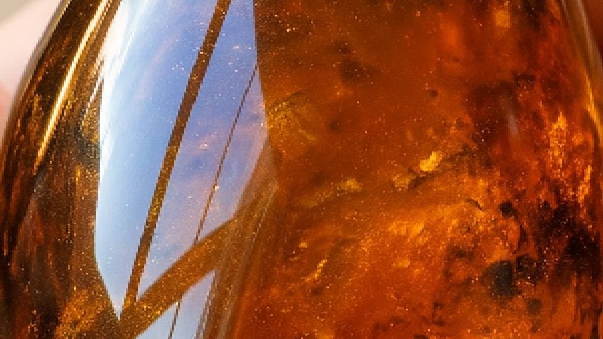 Kehribar taşı içinde eşi görülmemiş bir keşif: Uzmanlar şaşkına döndü