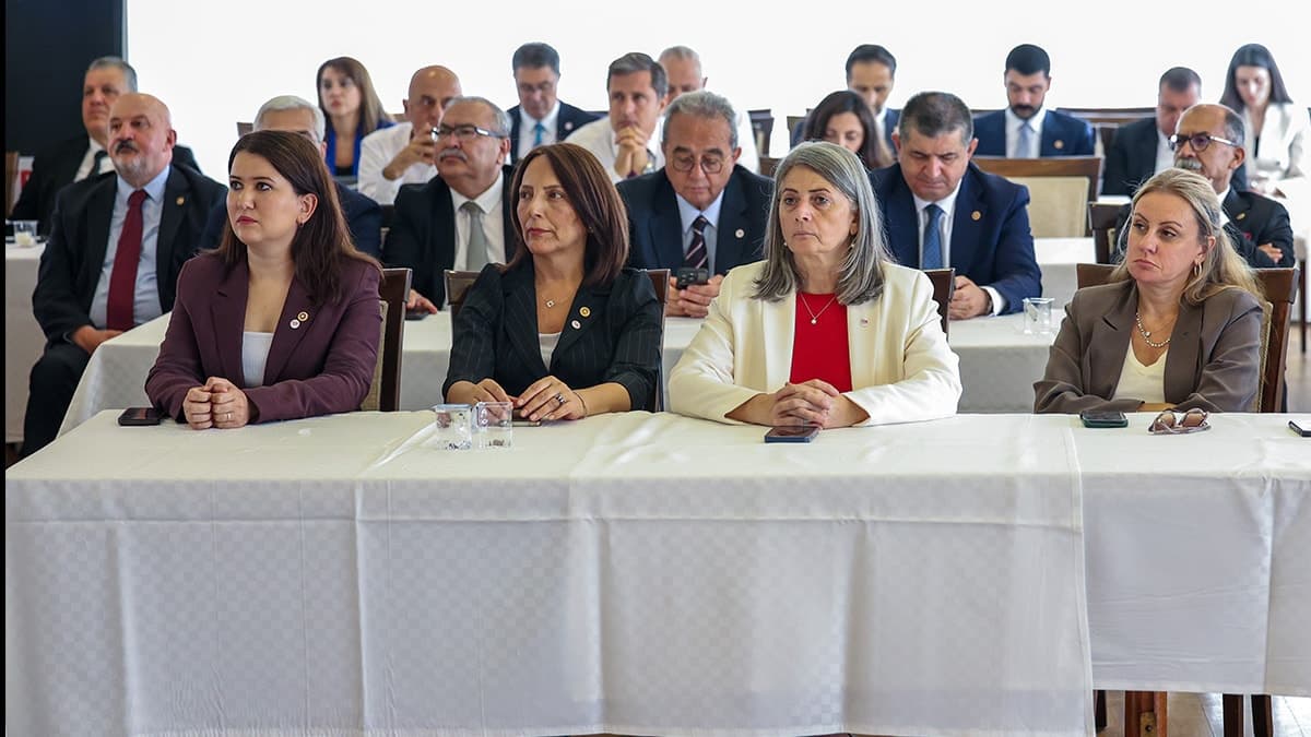 Yandaş kalemden 'Yeni Parti' iddiası: 10 milletvekili daha katılacak, tarih verildi