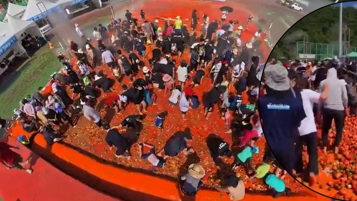 Bu festival sosyal medyayı ikiye böldü! 44 ton domatesin içinde altın yüzük aradılar