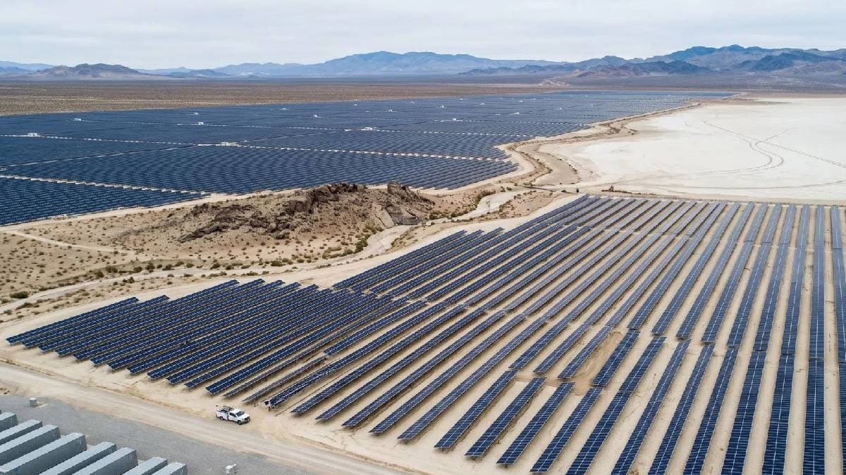 Çöle kurulan dev güneş enerjisi santrali felakete yol açtı