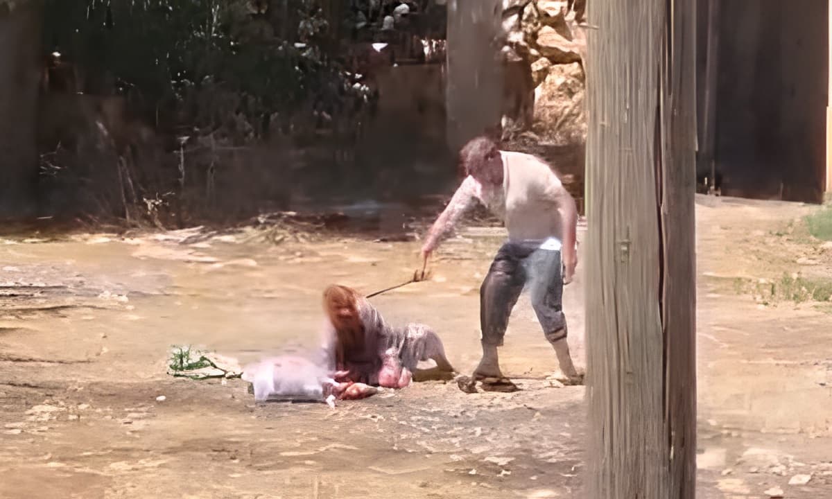 Şanlıurfa'da dehşet: İsviçre'de eşini öldürüp cezaevinden çıkan adam annesini öldüresiye dövdü