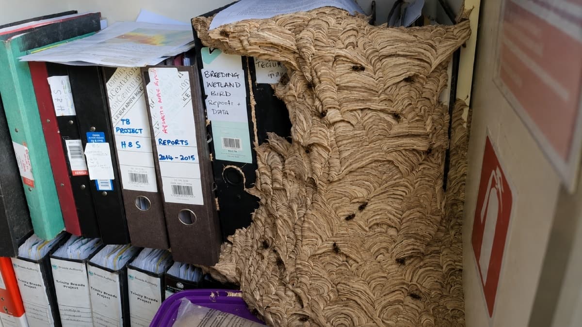 Ofisine dönen çalışan kadın büyük ekonomik şokla karşılaştı