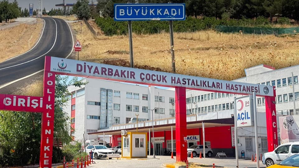 Diyarbakır'da 3 yaşındaki çocukta kuduz tespit edildi: Uzmanlar 4 aylık süreci mercek altına aldı