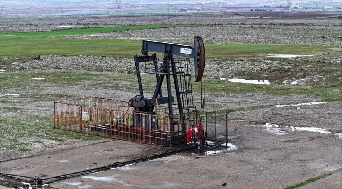 TPAO, iki ilde 5 yıllık petrol arama ruhsatı aldı