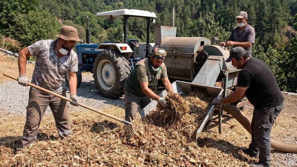 Yılda sadece 1 ay çalışıp saatte 7 bin TL kazanıyorlar: '11 ay tatil' lüksü