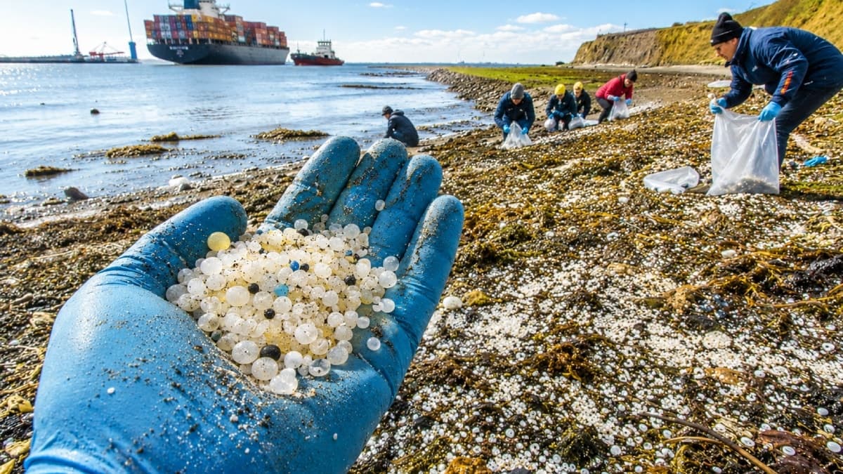 Kargo gemisi kazasında 30 saniyede 17 ton plastik denize karıştı