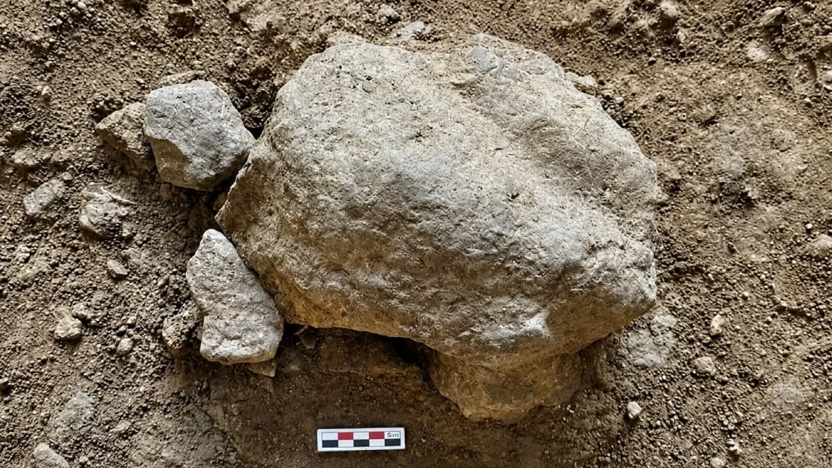 Bilecik'te 14 bin 500 yıllık dev kaplumbağa fosili gün yüzüne çıkarıldı