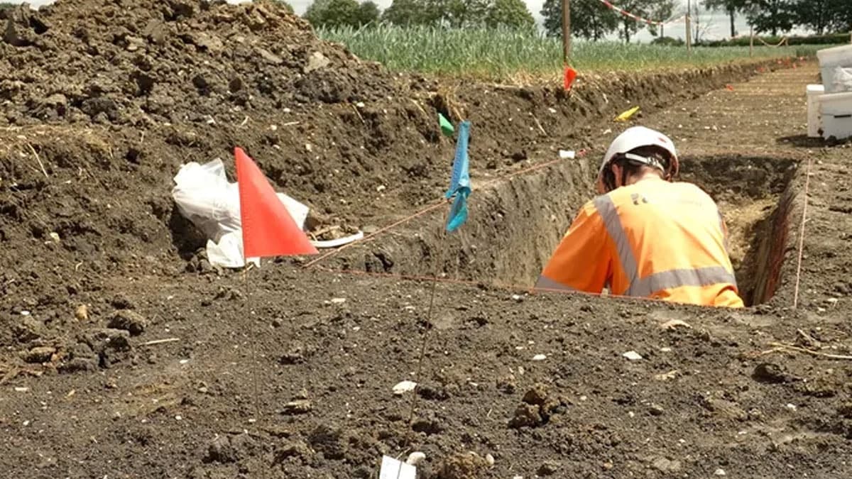 Yol çalışmasında tarihi sikkeler bulundu: Çalışmalar derhal durduruldu